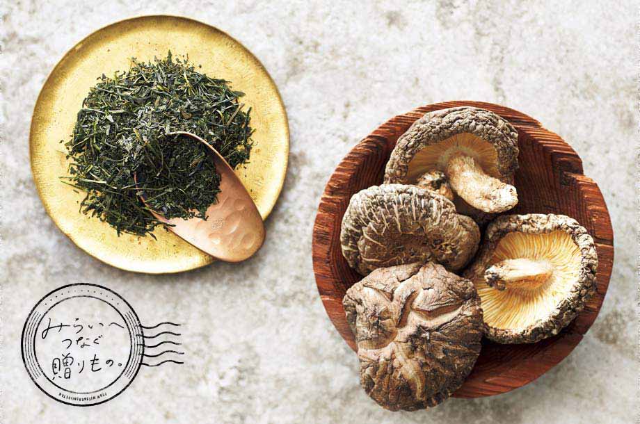 「うま味」文化をみらいへつなぐ。世界農業遺産に認められた掛川茶と国東の原木椎茸