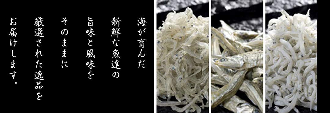 中辰(ちりめん)/ナカタツの画像