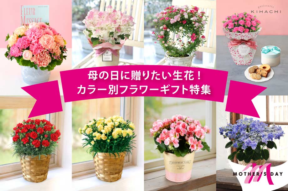 母の日に贈りたい生花！カラー別フラワーギフト特集