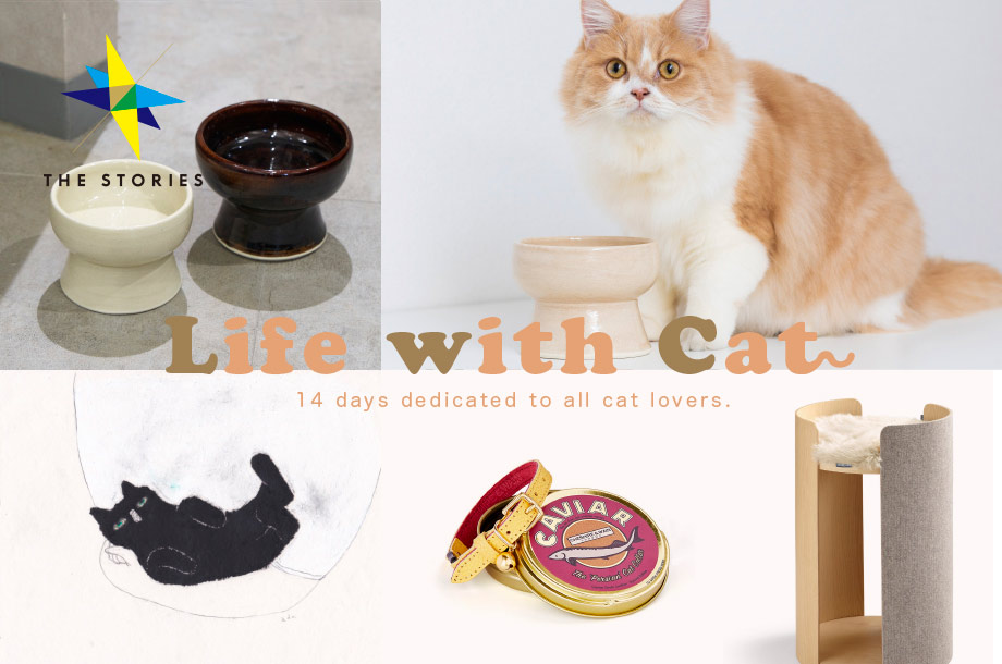 すべての猫好きに捧げる14日間｜Life with Cat