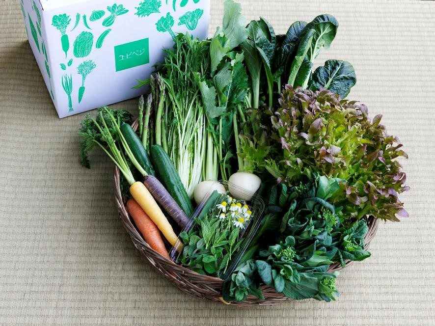 季節の野菜をお取り寄せ！記憶に残る美味しい野菜？＜エビベジ＞の美味しい秘密。