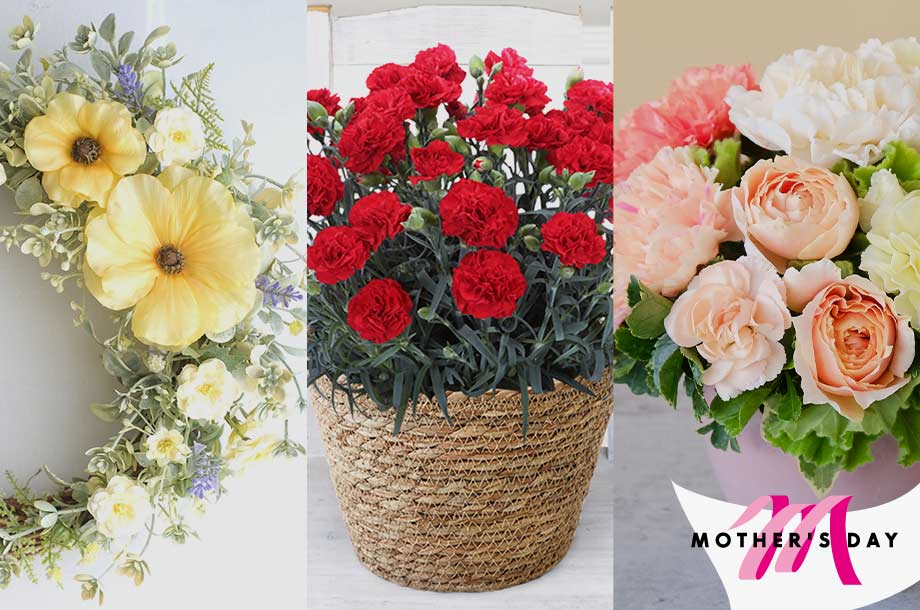 母の日におすすめの花ギフト特集 ～お母さんのライフスタイルに合わせて贈ろう～