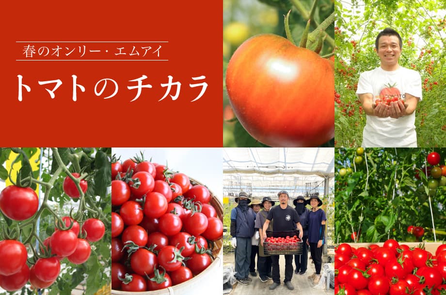 春だからこそ出合えるおいしさです！全国のファームから品種が集う「トマトのチカラ」